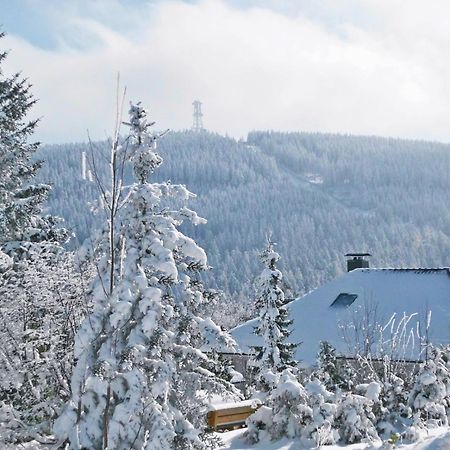Premium-Ferienwohnungen Bergblick Im Haus Hopfe 戈斯拉尔 外观 照片