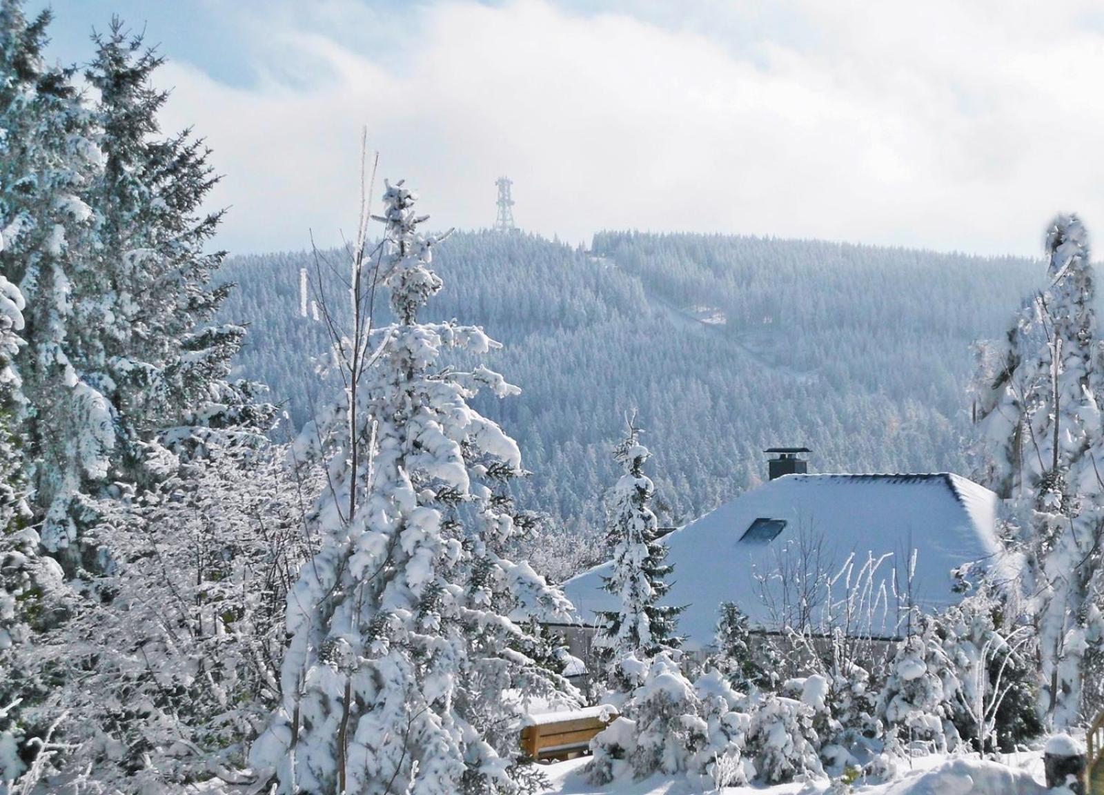 Premium-Ferienwohnungen Bergblick Im Haus Hopfe 戈斯拉尔 外观 照片